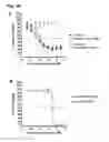 Fig. 30 - CD20 Antibodies and Uses Thereof