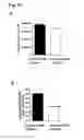 Fig. 33 - CD20 Antibodies and Uses Thereof
