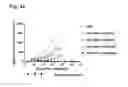 Fig. 35 - CD20 Antibodies and Uses Thereof