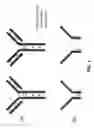 Fig. 02 - Methods of controlling the formation of disulfide bonds in protein solutions
