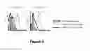 Fig. 06 - Antibodies that bind to Jagged 1