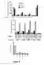 Fig. 10 - Antibodies that bind to Jagged 1