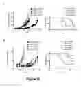 Fig. 17 - Antibodies that bind to Jagged 1