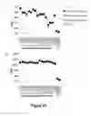 Fig. 20 - Antibodies that bind to Jagged 1