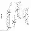 Fig. 53 - Cytotoxic benzodiazepine derivatives
