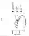 Fig. 10 - RSPO3 binding agents and uses thereof