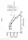 Fig. 14 - RSPO3 binding agents and uses thereof