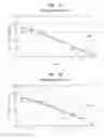 Fig. 02 - Antitumor peptide derived from a complementarity determining region of a humanized monoclonal antibody to NAP12B transporter