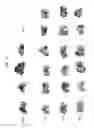 Fig. 08 - Antitumor peptide derived from a complementarity determining region of a humanized monoclonal antibody to NAP12B transporter