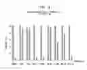 Fig. 12 - Antitumor peptide derived from a complementarity determining region of a humanized monoclonal antibody to NAP12B transporter