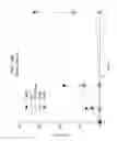 Fig. 25 - Antitumor peptide derived from a complementarity determining region of a humanized monoclonal antibody to NAP12B transporter