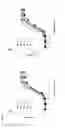 Fig. 07 - Binding molecules that bind human complement factor C2 and uses thereof