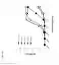 Fig. 13 - Binding molecules that bind human complement factor C2 and uses thereof