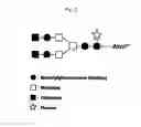 Fig. 03 - Recombinant antibody composition