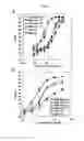Fig. 10 - Recombinant antibody composition