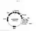 Fig. 14 - Recombinant antibody composition