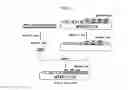 Fig. 23 - Recombinant antibody composition