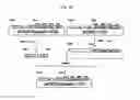 Fig. 30 - Recombinant antibody composition