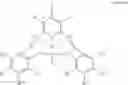 Fig. 16 - Transition metal based pro-catalyst and a process for its preparation