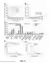 Fig. 07 - Polymer/copper combination for targeted cancer therapy