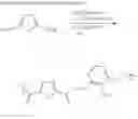 Fig. 62 - Programmed degradation of polymers derived from biomass