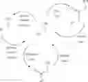 Fig. 32 - Method and catalyst system for preparing polymers and block copolymers
