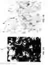 Fig. 02 - METHOD FOR CONVERSION OF DRY NANOMATERIALS INTO LIQUID NANO-AGENTS FOR FABRICATION OF POLYMER NANOCOMPOSITES AND FIBER REINFORCED COMPOSITES