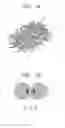 Fig. 02 - Polymer nanofiber sheet and method for producing the same