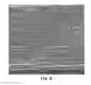 Fig. 05 - Energy Absorbing Member