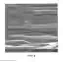 Fig. 07 - Energy Absorbing Member