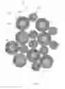 Fig. 03 - Transient Liquid Phase Compositions Having Multi-Layer Particles