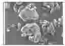 Fig. 01 - COMPOSITION OF POLY-ARYLENE ETHER KETONE KETONE POWDERS SUITABLE FOR LASER SINTERING