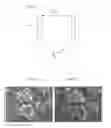 Fig. 02 - COMPOSITION OF POLY-ARYLENE ETHER KETONE KETONE POWDERS SUITABLE FOR LASER SINTERING