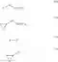 Fig. 06 - Degradation-resistant scale inhibitors