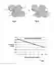 Fig. 02 - DELIVERY OF PARTICULATE MATERIAL BELOW GROUND