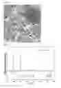 Fig. 03 - Multicolor tunable nanophosphor and its synthesis method and transparent polymer composite including the nanophosphor