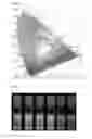 Fig. 05 - Multicolor tunable nanophosphor and its synthesis method and transparent polymer composite including the nanophosphor