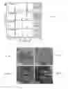 Fig. 05 - Morphologically and size uniform monodisperse particles and their shape-directed self-assembly