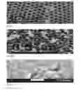 Fig. 11 - Morphologically and size uniform monodisperse particles and their shape-directed self-assembly