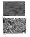 Fig. 12 - Morphologically and size uniform monodisperse particles and their shape-directed self-assembly
