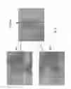 Fig. 10 - Method of assembling a 3D tissue culturing scaffold