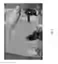 Fig. 06 - GENETIC MODIFICATION OF RATS