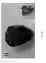 Fig. 12 - GENETIC MODIFICATION OF RATS
