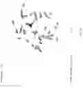Fig. 17 - GENETIC MODIFICATION OF RATS