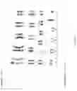 Fig. 19 - GENETIC MODIFICATION OF RATS