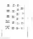 Fig. 21 - GENETIC MODIFICATION OF RATS