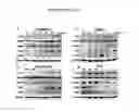 Fig. 12 - Maintenance of genomic stability in cultured stem cells