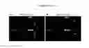 Fig. 34 - Maintenance of genomic stability in cultured stem cells