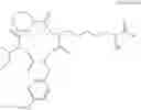 Fig. 07 - Method for inducing exocrine pancreatic cells