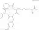 Fig. 10 - Method for inducing exocrine pancreatic cells